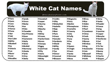 best names for white cats